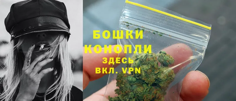 Конопля OG Kush  Москва 